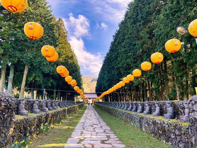 Jeju: Customized Shore Excursions For Up To 7 People - Who should book this private Jeju excursion