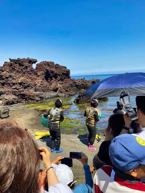 Jeju: Customized Shore Excursions For Up To 7 People - Meeting your guide at Jeju or Gangjeong Port