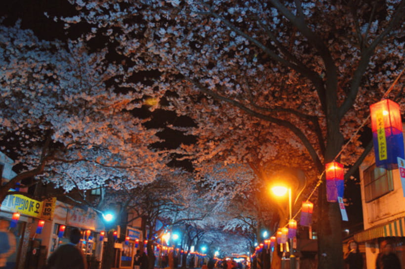Jeju East: Cherry Blossom Early Bird Tour with Hotel Pickup - Lunch is local, but you pay separately