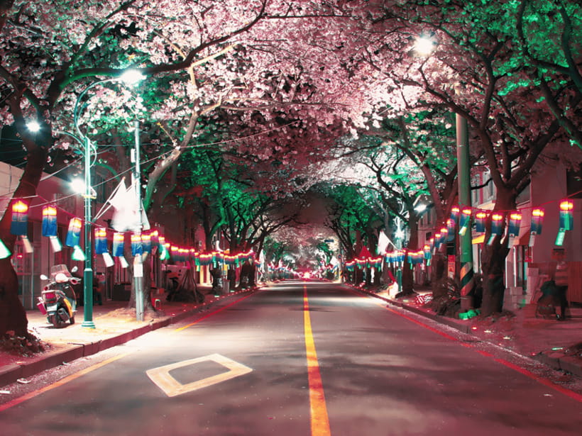 Jeju East: Cherry Blossom Early Bird Tour with Hotel Pickup - Seongsan Ilchulbong is the grand finale