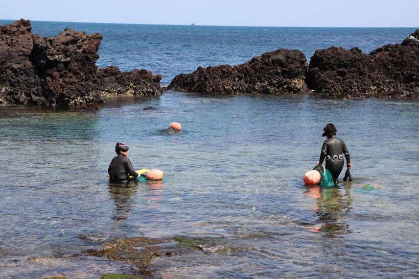 Jeju: East of Jeju Island Bus Tour from Seogwipo City - Should you book the east Jeju bus tour?