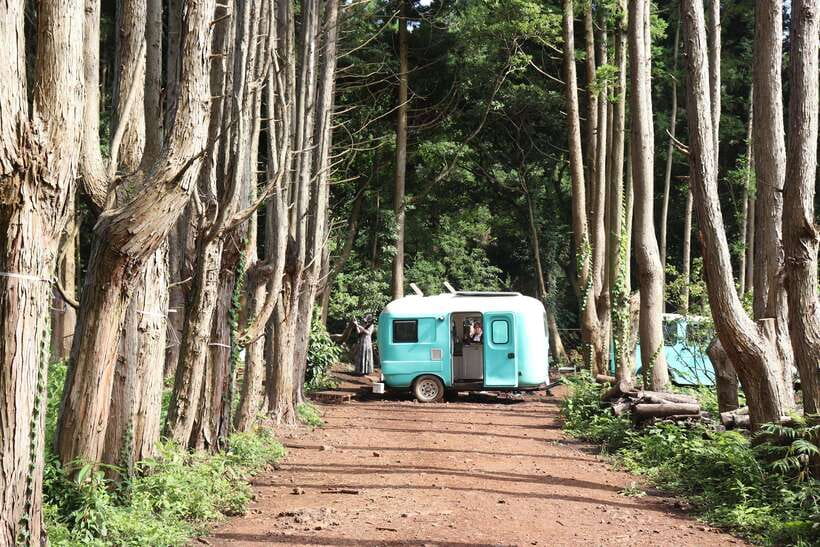 Jeju: East of Jeju Island Bus Tour from Seogwipo City - Woljeongri Beach offers a lighter pause
