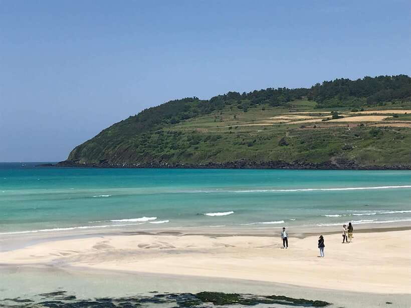Jeju: East of Jeju Island Bus Tour from Seogwipo City - Walking, weather, and lunch: plan for the real day