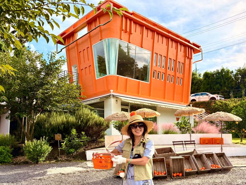 Jeju East: Small Group Healing Tour w/Woman Divers Show - Why this eastern Jeju day works