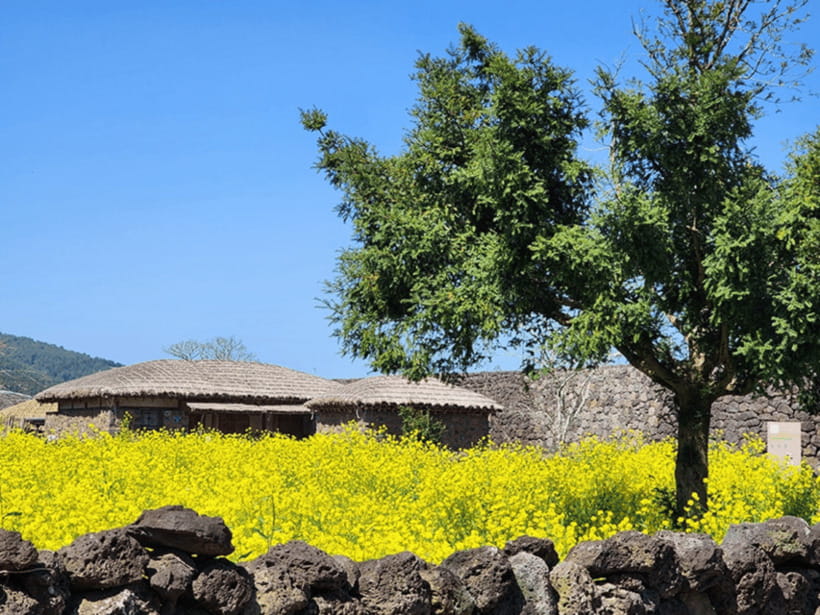 Jeju: Eastern Jeju UNESCO Spots Day Tour - Micheongul Cave offers a look below Jeju