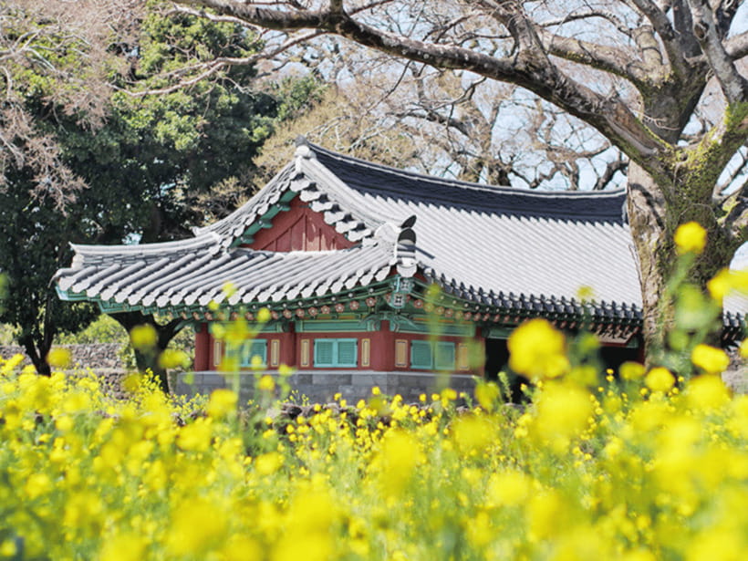 Jeju: Eastern Jeju UNESCO Spots Day Tour - What the guides add to the day