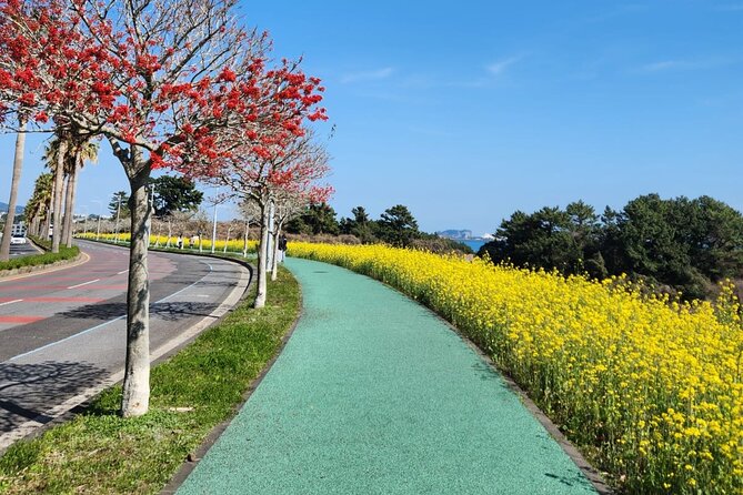 Jeju English Private Taxi Tour(1day, 2days, 3days & 1 to 12pax) - East Jeju: sunrise, villages, and haenyeo culture