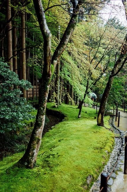 Jeju Highlights Day Trip (East Course) - Seongsan Ilchulbong, the day’s major viewpoint