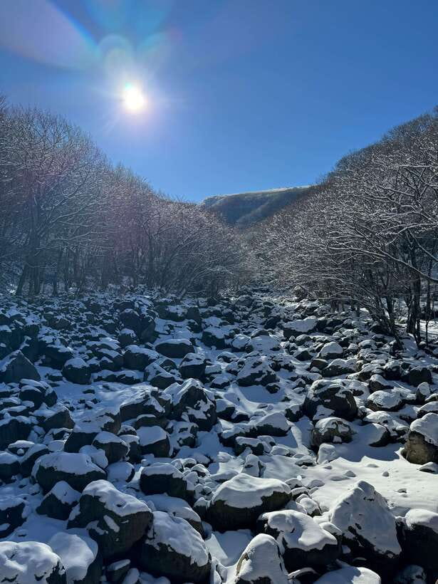 Jeju: Hiking Mt. Hallasan, South Korea's Highest Mountain - Why this Hallasan route is worth your time