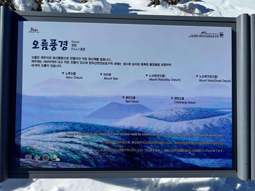 Jeju: Hiking Mt. Hallasan, South Korea's Highest Mountain - The guide makes the difference