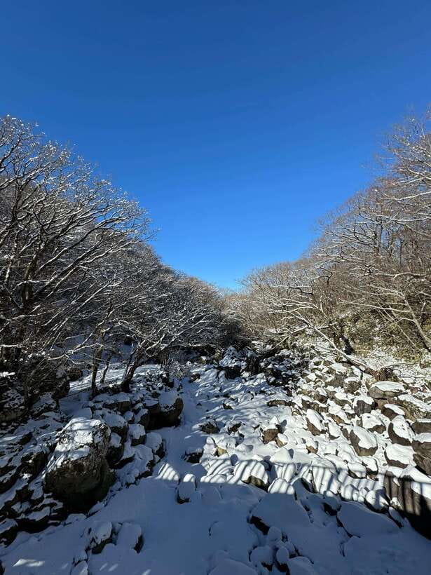 Jeju: Hiking Mt. Hallasan, South Korea's Highest Mountain - Is $103 a fair price?