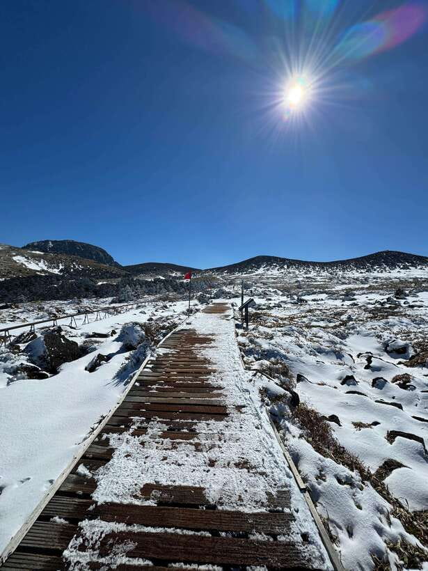 Jeju: Hiking Mt. Hallasan, South Korea's Highest Mountain - Who should book this hike?