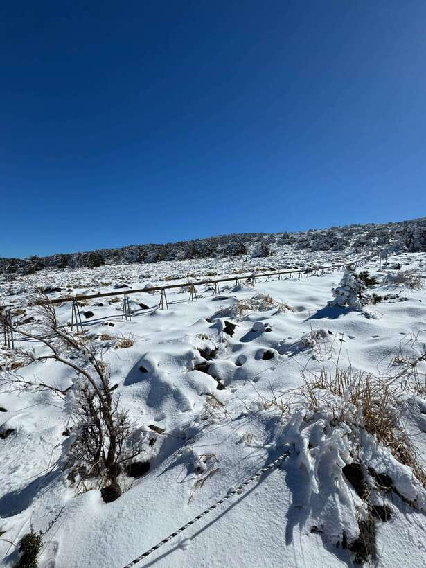 Jeju: Hiking Mt. Hallasan, South Korea's Highest Mountain - Winter details and useful preparation