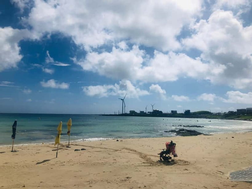 Jeju Island: Customized Private Full-Day Van Tour - A private day is the right way to cover Jeju