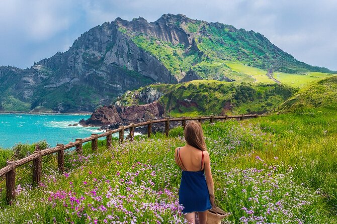 Jeju island Eastern UNESCO site Full Day Guided Tour - Ilchulland and Micheon Cave