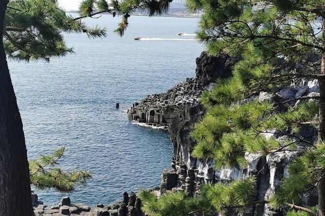 Jeju Island English Private & Flexible Tour any number anywhere - Food advice is part of the appeal