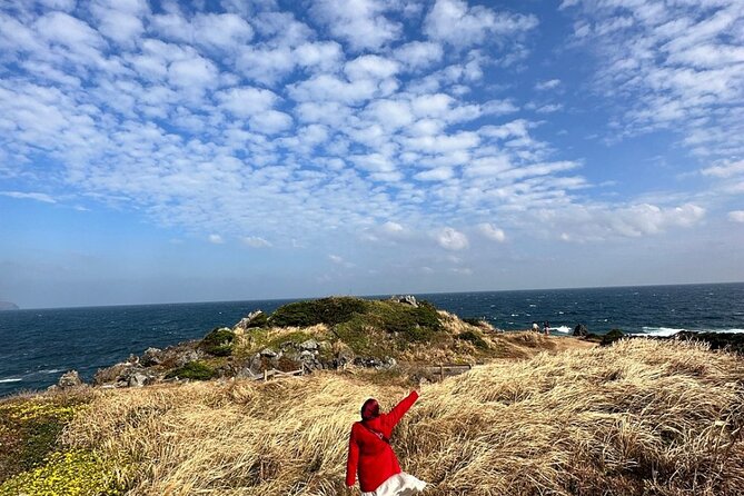 Jeju Island English Private & Flexible Tour any number anywhere - The south route: waterfalls, cliffs, and green tea