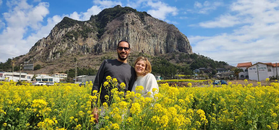 Jeju Island: Full-Day Customizable Private Guided Car Tour - Tea plantations, museums, and K-drama locations