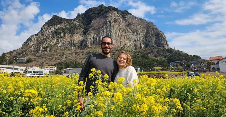 Jeju Island: Full-Day Customizable Private Guided Car Tour - What the guides add to the day