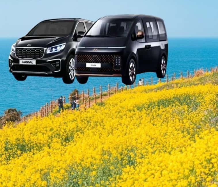 Jeju Island: Private Car Charter Tour - The western route: beaches, cafes, and tea fields