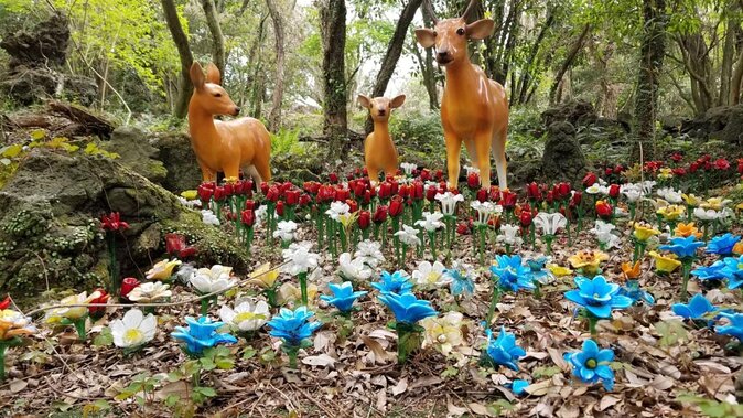 Jeju Island Private Taxi Tour : 2 Full days - Key points to know before booking