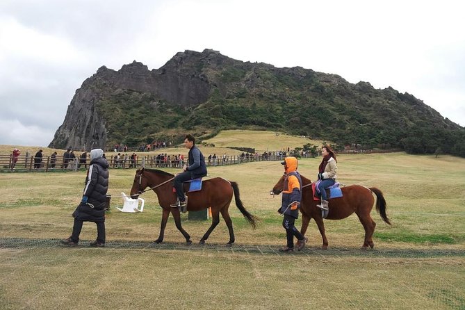 Jeju Island Private Taxi Tour : 2 Full days - Price, limits, and the small print that matters