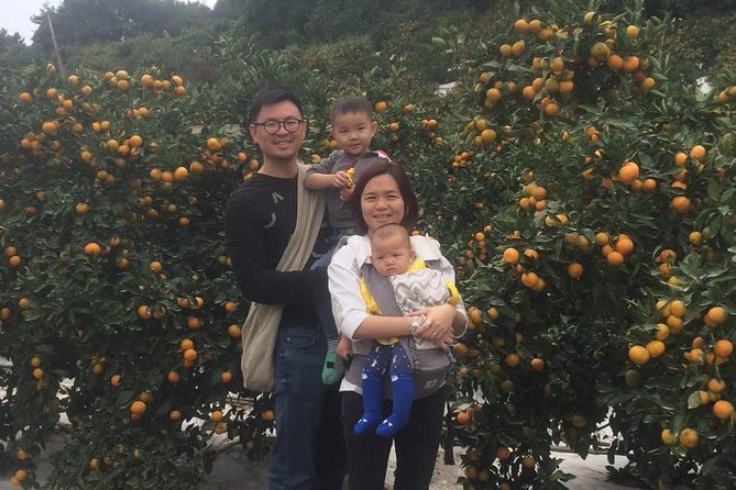 Jeju Island Private Taxi Tour : 2 Full days - Should you book it?