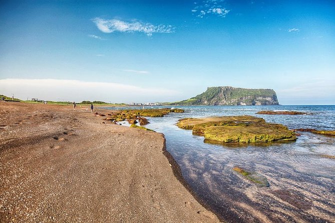 Jeju Island Private Taxi Tour : UNESCO Day Tour - Saryeoni Forest Path: a quiet start among Jeju’s trees