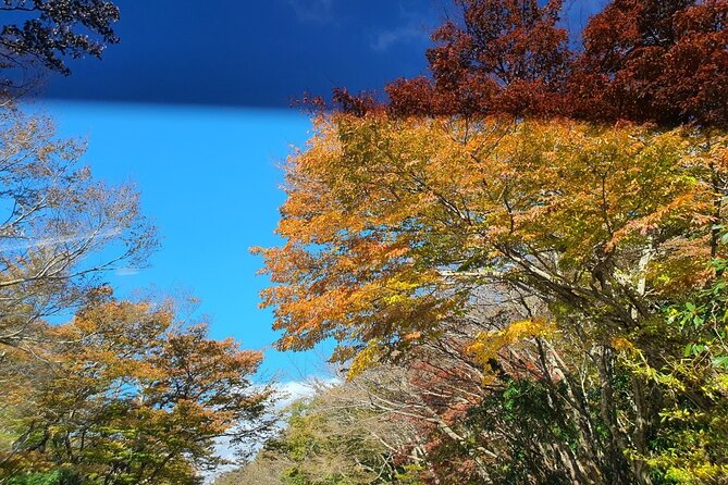Jeju island Private Tour - UNESCO Day Tour & Haenyeo Performance - Seopjikoji adds open coast and walking time