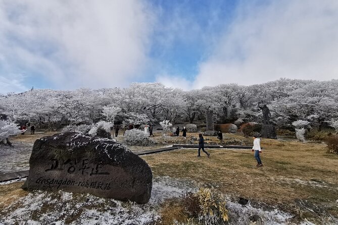 Jeju island Private Tour - UNESCO Day Tour & Haenyeo Performance - The Jeju City route includes Stone Park and Hamdeok Beach