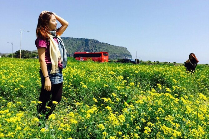 Jeju island Private Tour - UNESCO Day Tour & Haenyeo Performance - What the private vehicle and driver service are really like