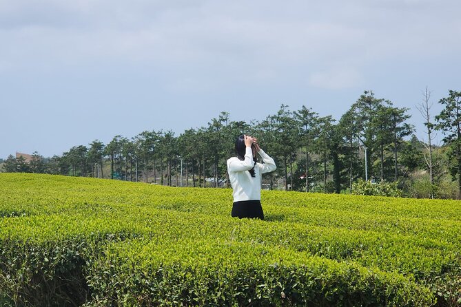 Jeju island Southern UNESCO Day Tour With Hallasan MT - How the guides shape the day
