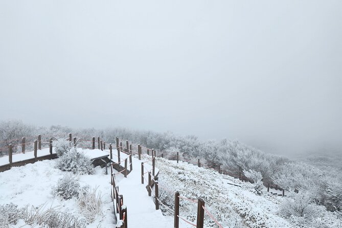 Jeju island Southern UNESCO Day Tour With Hallasan MT - Eoseungsaengak Trail and Hallasan views