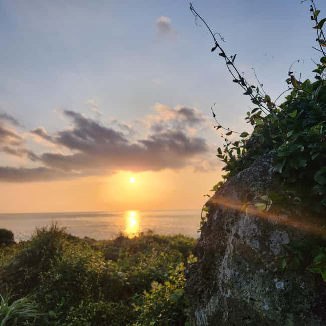 Jeju Island: Sunrise Guided Tour with Hotel Pickup - What the guide adds, and what may vary