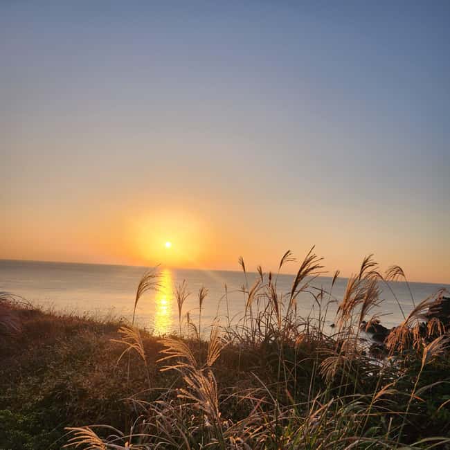 Jeju Island: Sunrise Guided Tour with Hotel Pickup - How the $74 price holds up