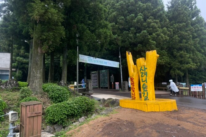 Jeju Island UNESCO Heritage Bus Tour - What the $56 price really covers