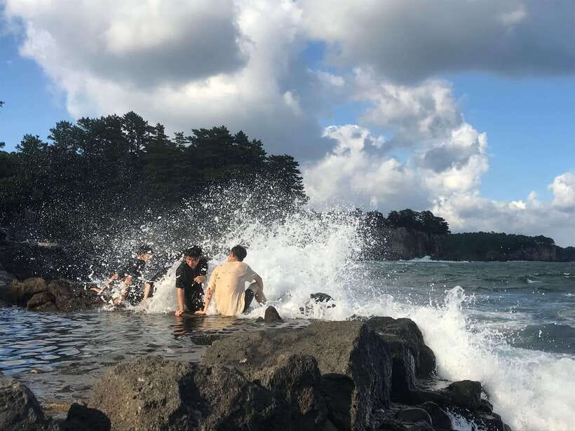 Jeju Island: Van Tour with a Guide Who Most Loves Jeju - Key points to know before booking