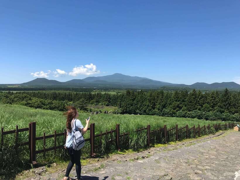 Jeju Island: Van Tour with a Guide Who Most Loves Jeju - A private way to cover Jeju in one day