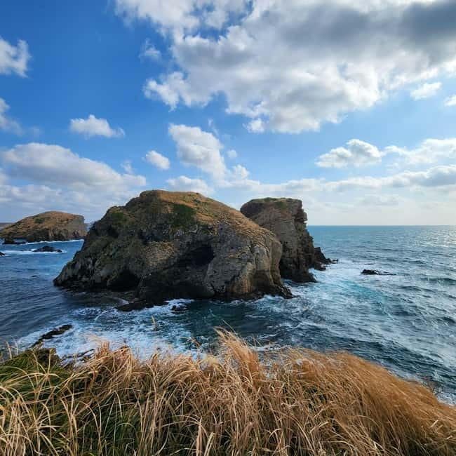 Jeju: Popular Sightseeing Private Car Charter Tour - The south route: waterfalls, cliffs, tea, and a walk on Hallasan
