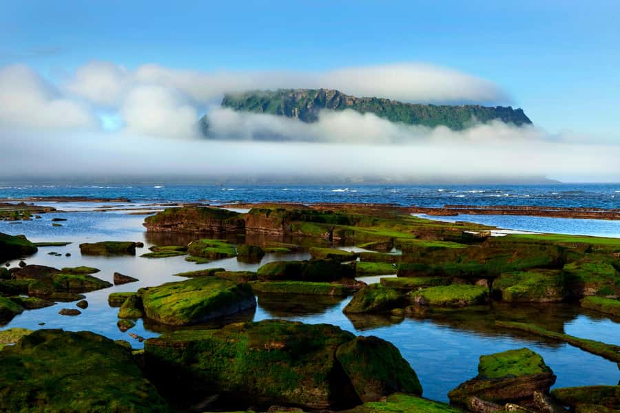 Jeju Premium Small Group UNESCO Day Tour - East - Key points at a glance
