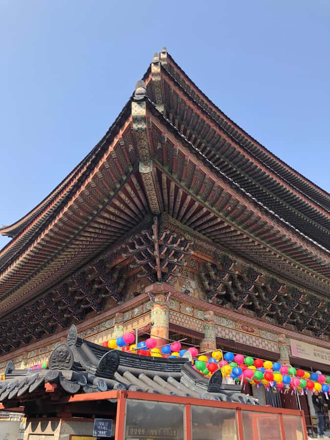 Jeju Premium Small Group UNESCO Day Tour - South - Should you book this Jeju day tour?