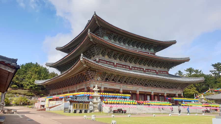 Jeju Premium Small Group UNESCO Day Tour - South - Guides, vehicles, and the small-group difference