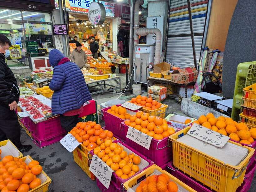 Jeju: Private Tour with an English Guide and a Vehicle - Haenyeo culture, with a choice of museum or performance