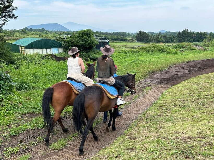 Jeju: Private Tour with an English Guide and a Vehicle - Hallasan, Oedolgae, and Cheonjeyeon on the south side