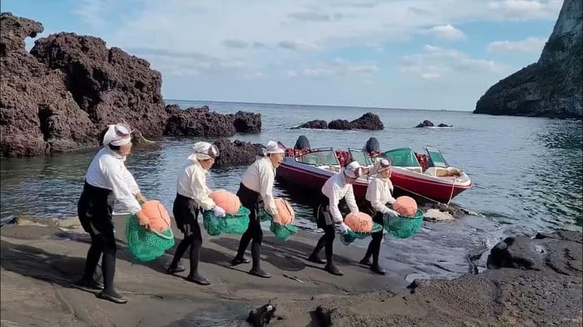 Jeju: Private VIP Day Tour with Tickets - Which route should you choose?
