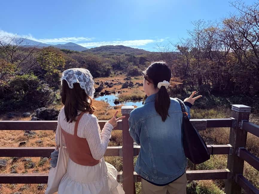Jeju: Small Group Tour w/Pink Muhly & Tangerine Picking - Cheonjeyeon Falls and Seonimgyo Bridge