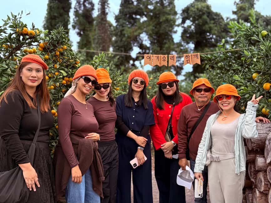 Jeju: Small Group Tour w/Pink Muhly & Tangerine Picking - Tea culture at O’Sulloc Tea Museum