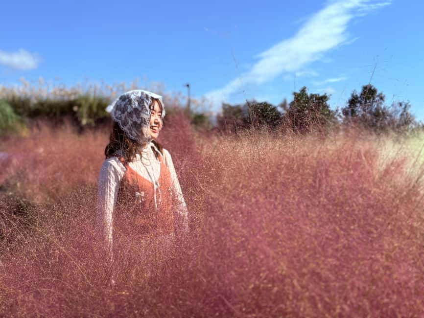 Jeju: Small Group Tour w/Pink Muhly & Tangerine Picking - Mt. Halla’s 1,100-meter wetland