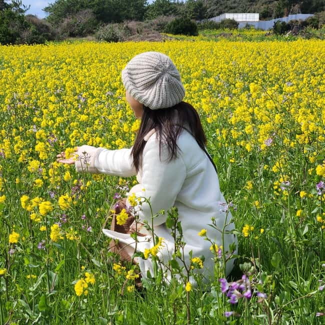 Jeju: Southern Top UNESCO Spots Bus Tour - Jusangjeolli Cliff and Jeju’s volcanic story