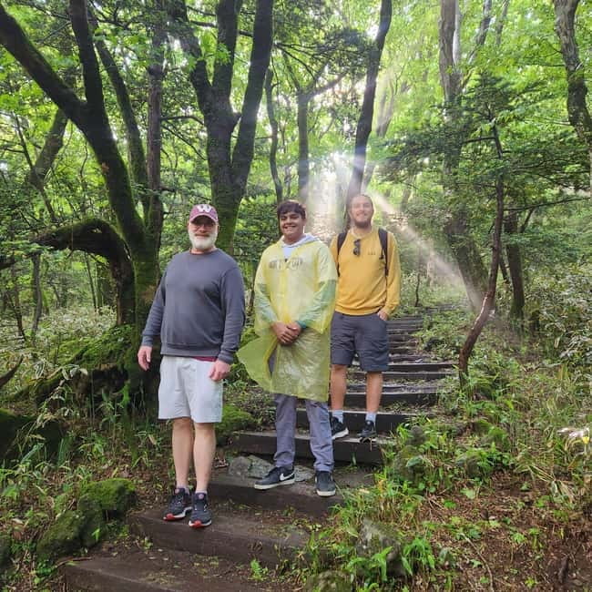 Jeju: Southern UNESCO Geopark Day Tour - Jusangjeolli Cliff and Jeju’s volcanic story